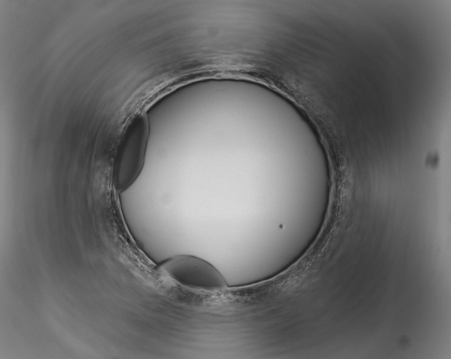 X0000114551169200911301218