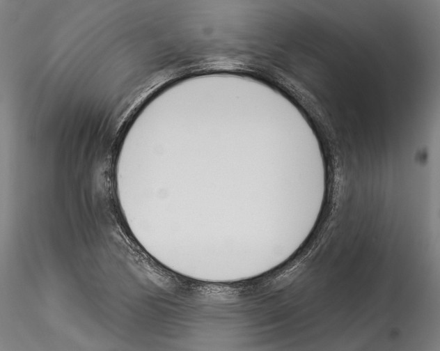 X0000114551170200911301218