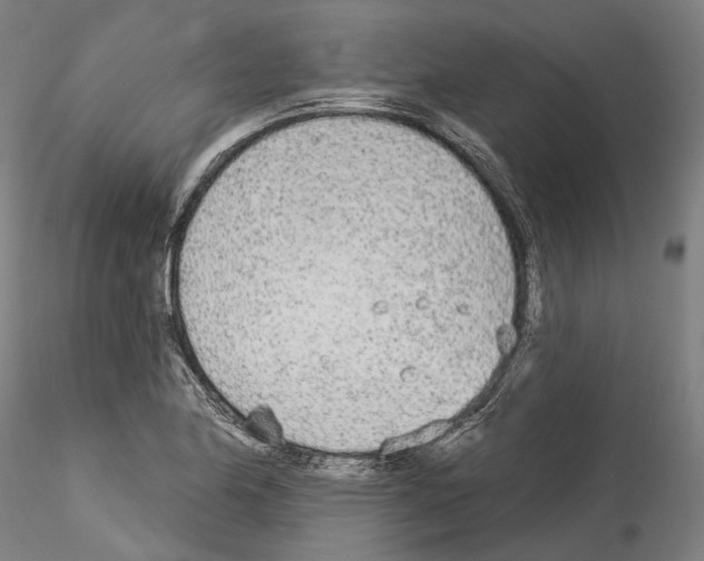X0000114551174200911301218