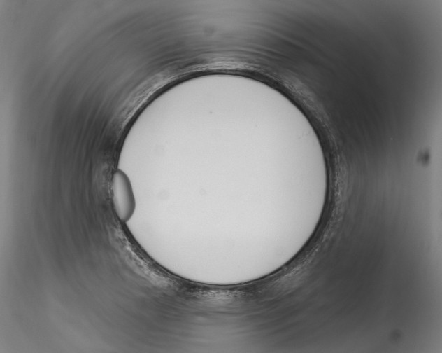 X0000114551177200911301218