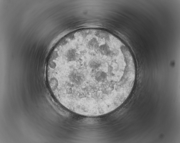 X0000114551179200911301218