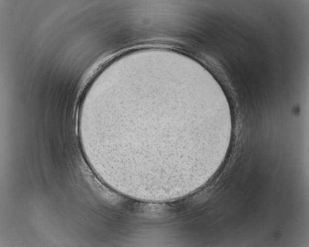 X0000114551180200911301218