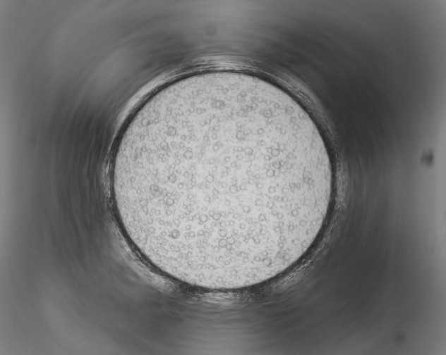 X0000114551182200911301218