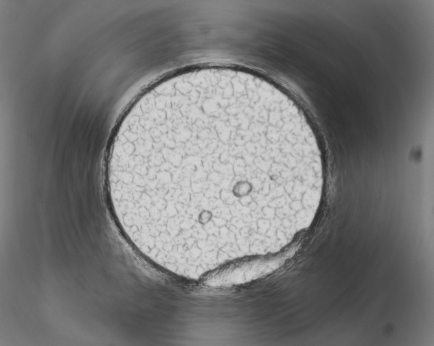 X0000114551183200911301218