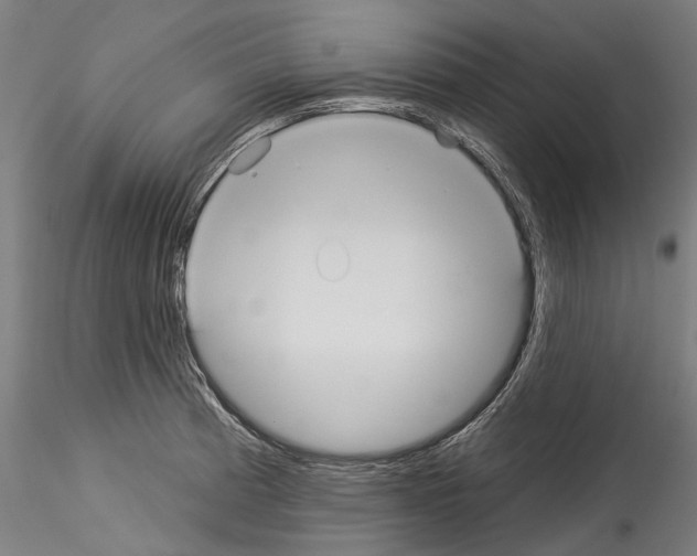 X0000114551185200911301218