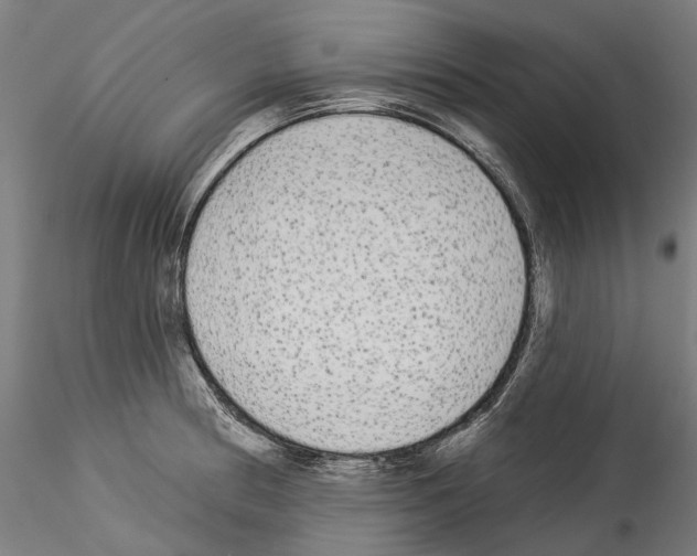 X0000114551186200911301218
