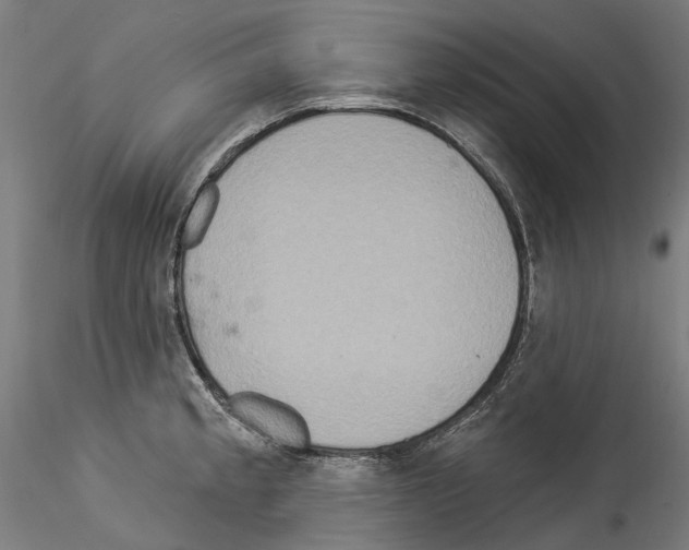 X0000114551189200911301218