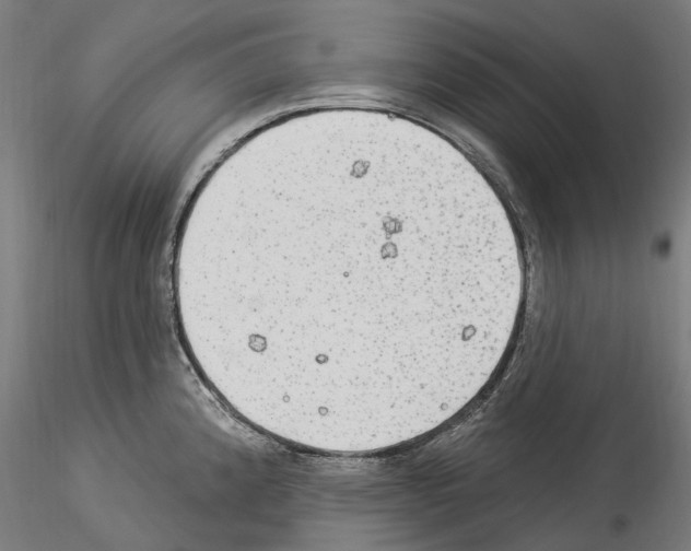 X0000114551192200911301218