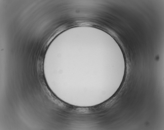 X0000114551194200911301218