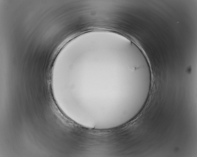 X0000114551195200911301217
