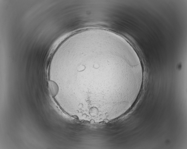 X0000114551196200911301217