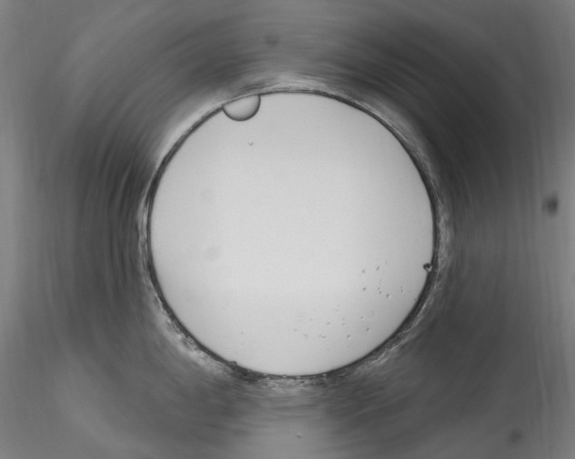 X0000114551198200911301217