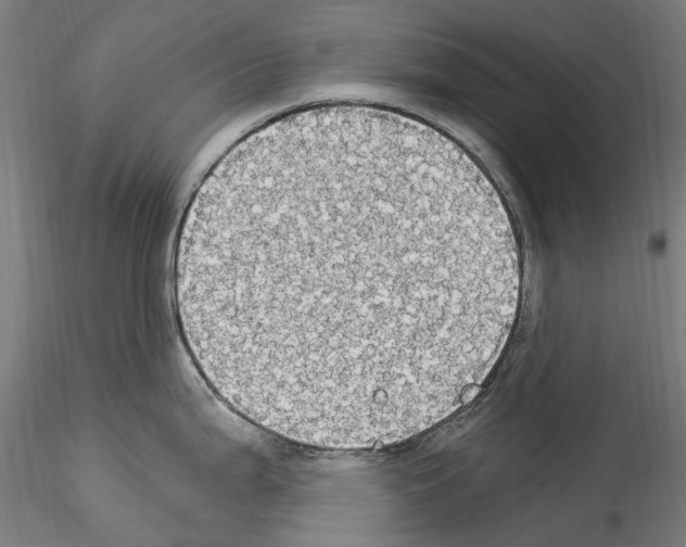 X0000114551199200911301217