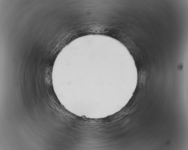 X0000114551202200911301217