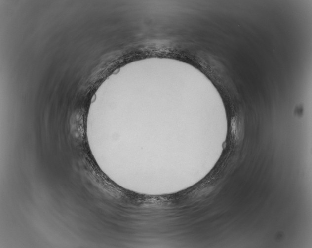 X0000114551203200911301217