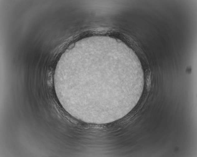X0000114551204200911301217
