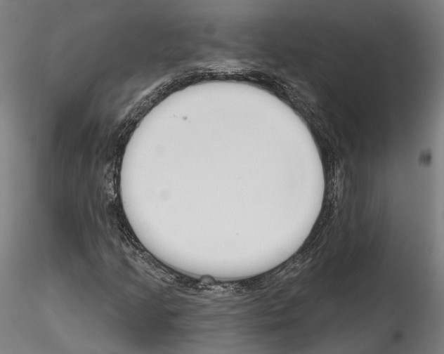 X0000114551205200911301217