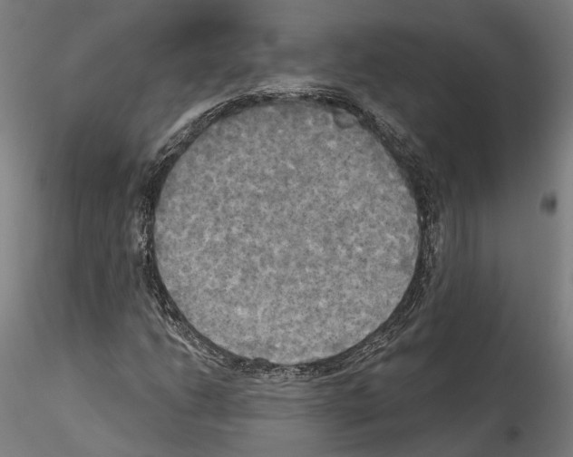 X0000114551206200911301217