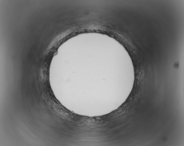 X0000114551207200911301217