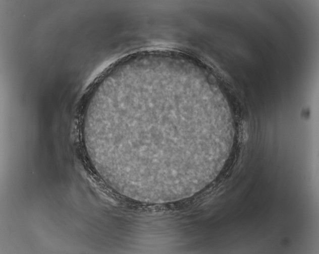 X0000114551208200911301217
