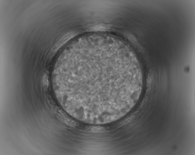 X0000114551209200911301217