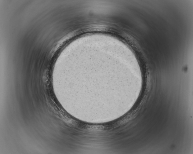 X0000114551210200911301217