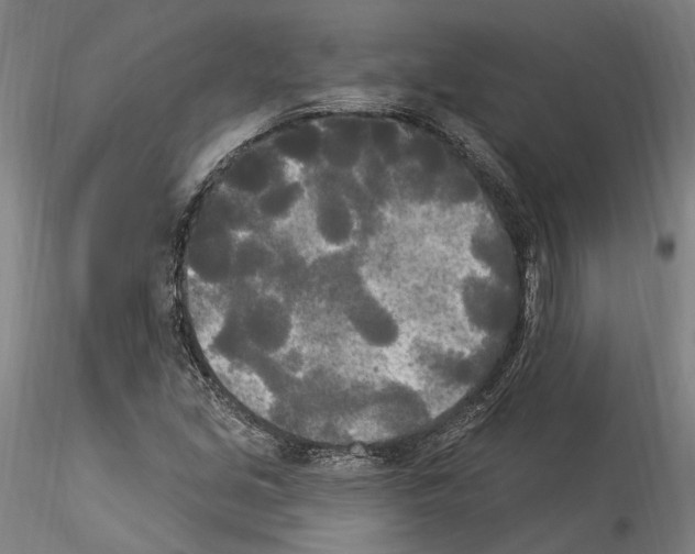 X0000114551213200911301217