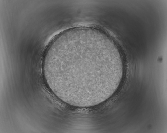 X0000114551214200911301217