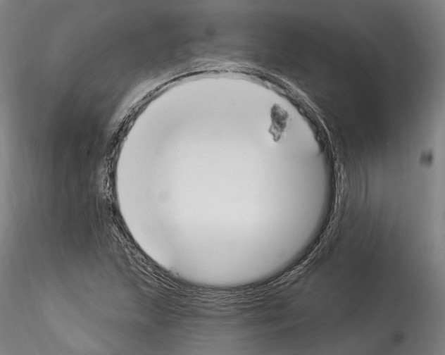 X0000114551215200911301217