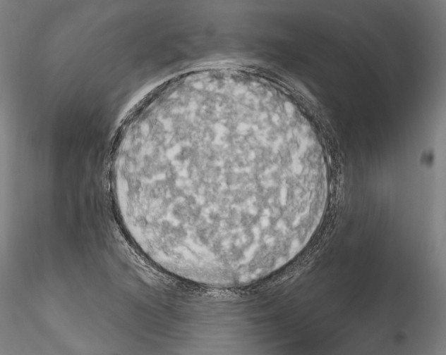 X0000114551216200911301217