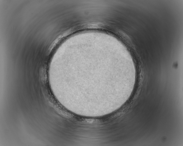 X0000114551218200911301217