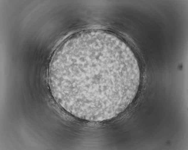 X0000114551220200911301217