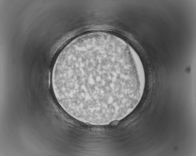 X0000114551221200911301217