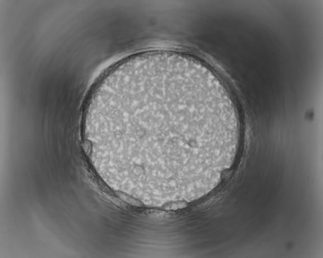X0000114551222200911301217