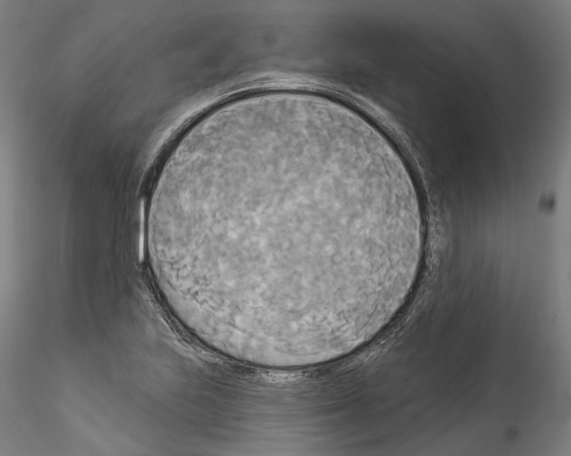 X0000114551223200911301217