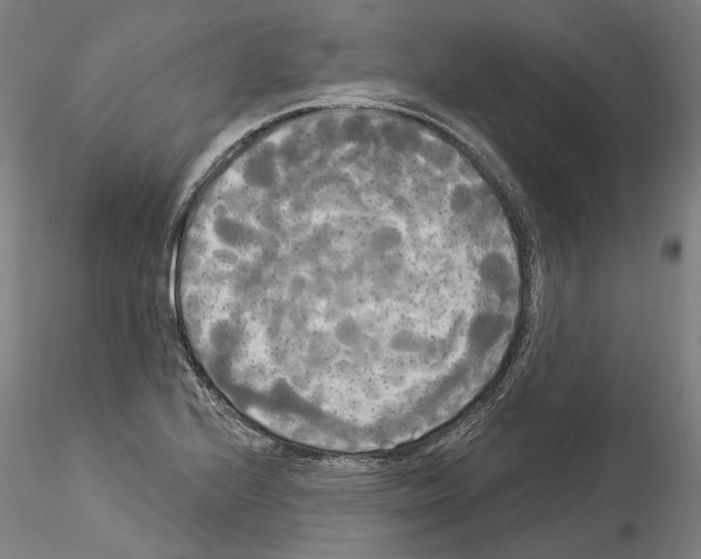 X0000114551224200911301217