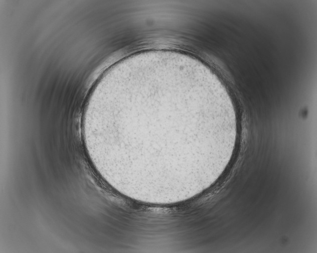 X0000114551226200911301217