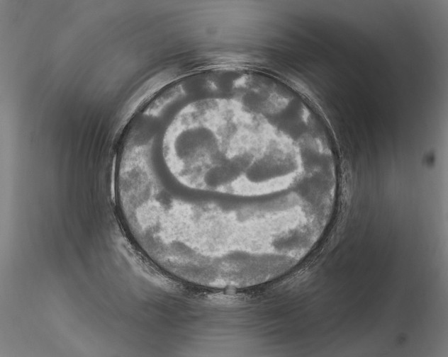X0000114551227200911301217