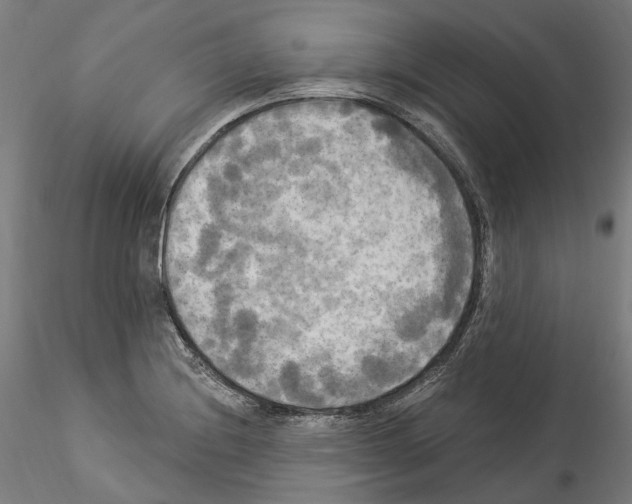 X0000114551228200911301217