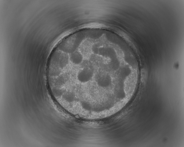 X0000114551229200911301217