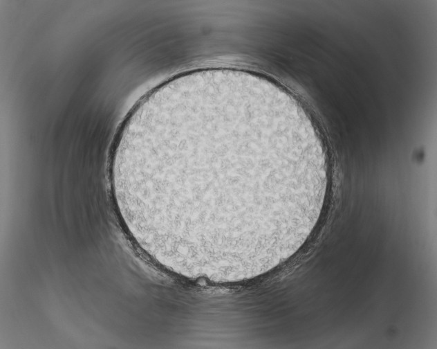 X0000114551230200911301217
