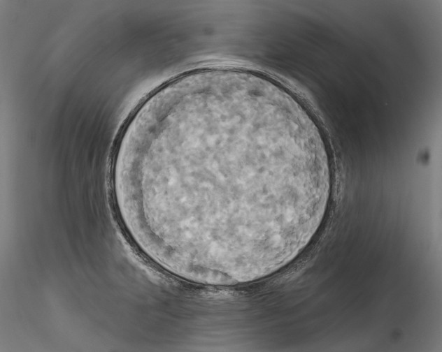 X0000114551231200911301217