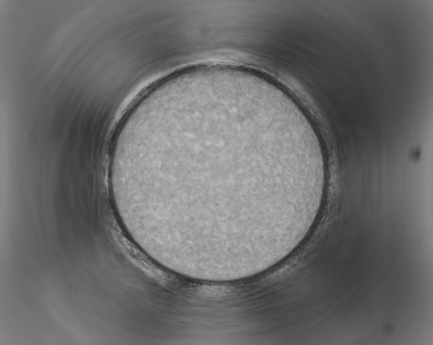 X0000114551232200911301217