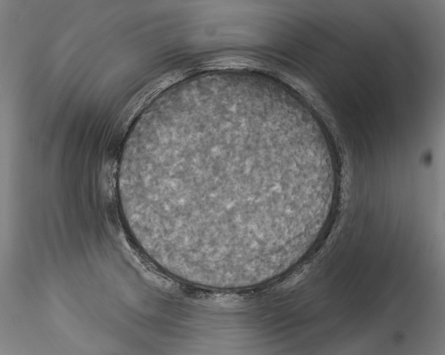 X0000114551233200911301217