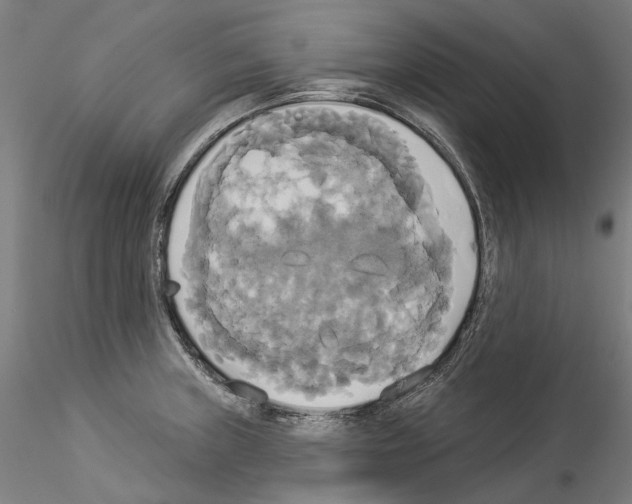 X0000114551235200911301217