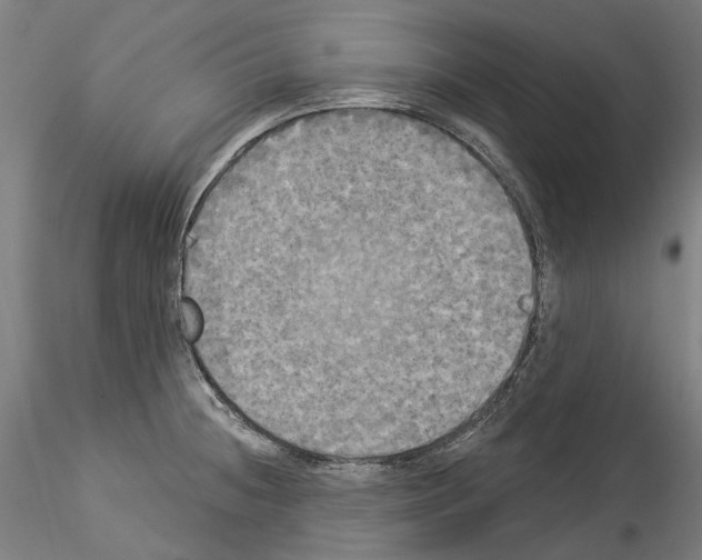 X0000114551236200911301217