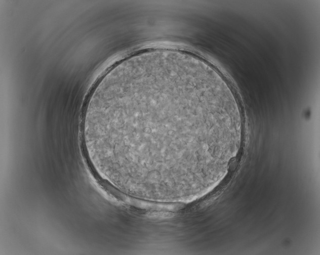 X0000114551237200911301217