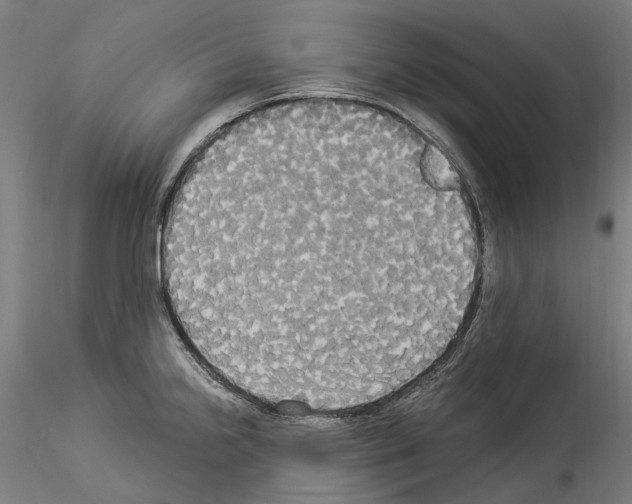 X0000114551238200911301217