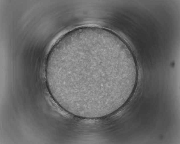 X0000114551240200911301217