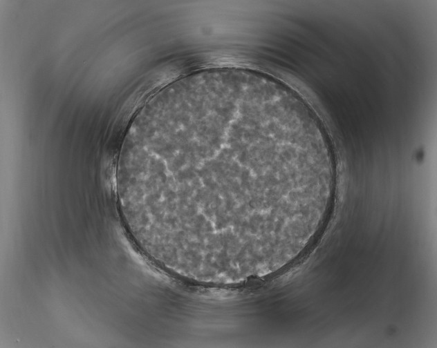 X0000114551241200911301217
